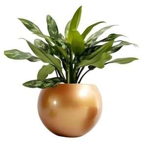 Homewares